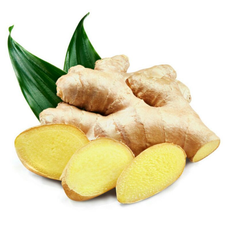 GINGER ESSENTIAL OIL | GINGER | JAHE | MINYAK ATSIRI | DROPPER | BOTOL PIPET