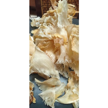 

Sirip Ikan Hiu Besar 100 Gram