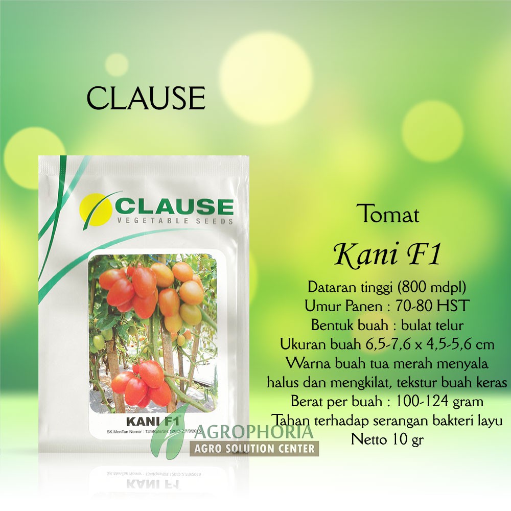 Benih Tomat Kani F1 10 Gram - CLAUSE