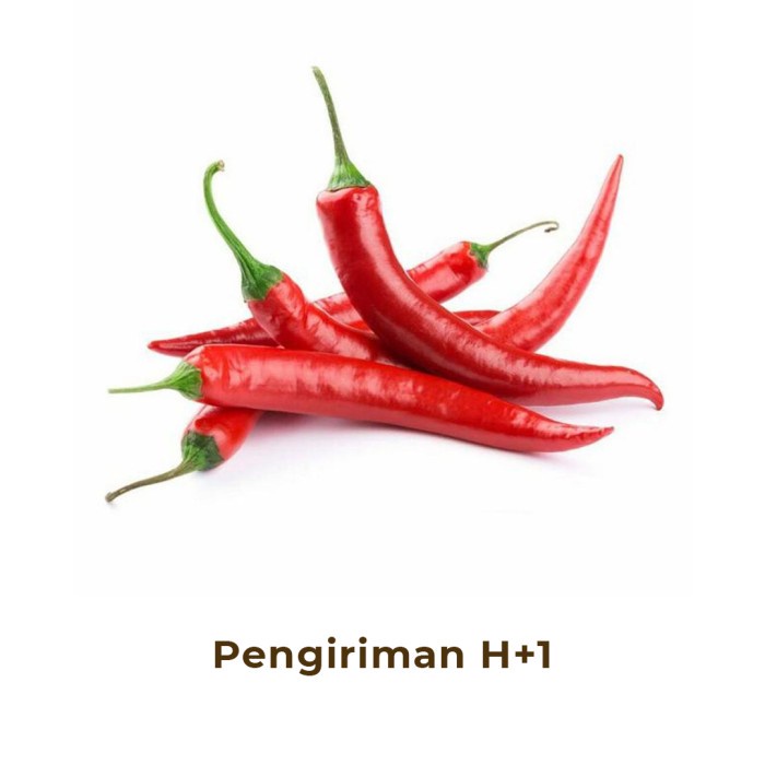 

Cabai Teropong Merah