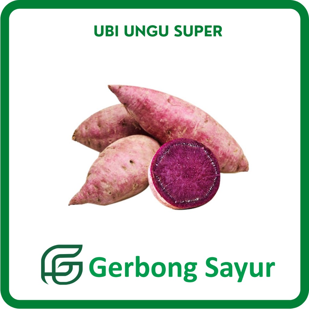 

Ubi Ungu Super Segar - 1 Kg