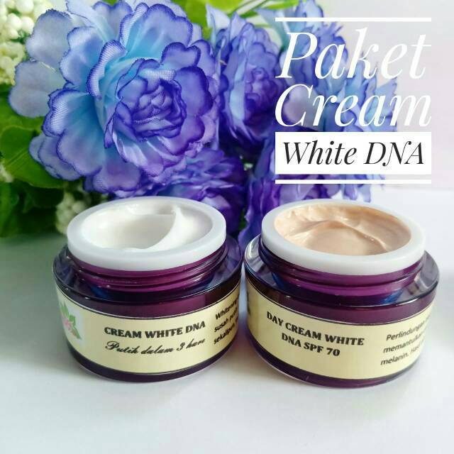 PAKET CREAM WHITE DNA FAST WHITE 3 DAYS PUTIH DALAM 3 HARI