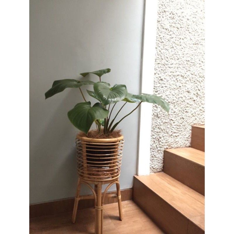 (SUDAH PERNIS) standing pot rotan alami/standing pot aesthetic/standing pot rotan