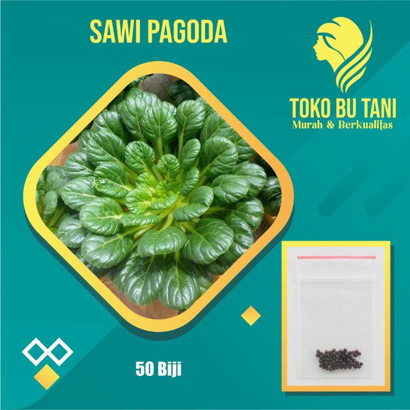 Benih Sawi Pagoda F1 Ta Ke Cai Known You Seed Tatsoi - Bibit Tanaman Sayur Sayuran