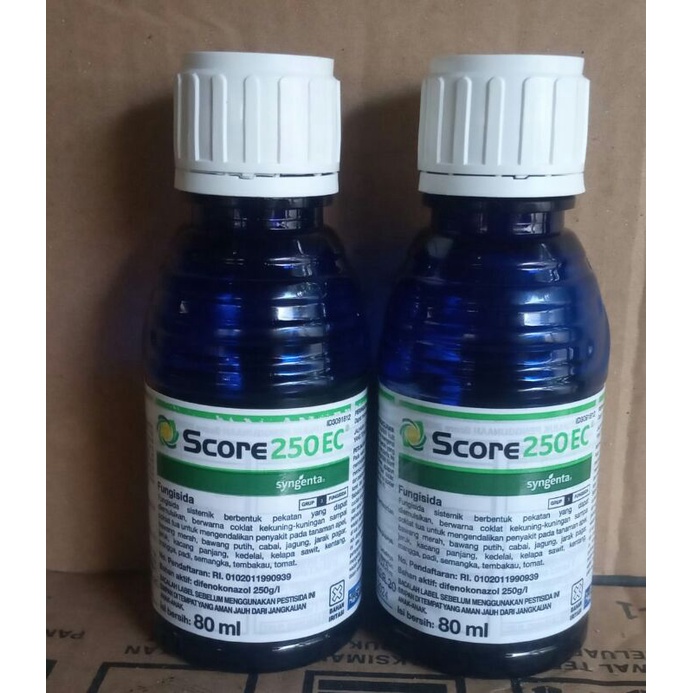 score 80ml fungisida