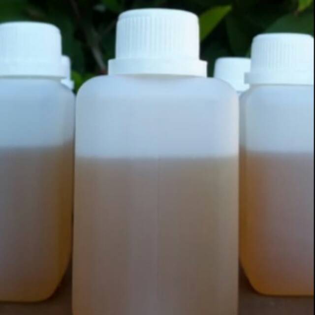 

Madu Asli 100% 6200gr