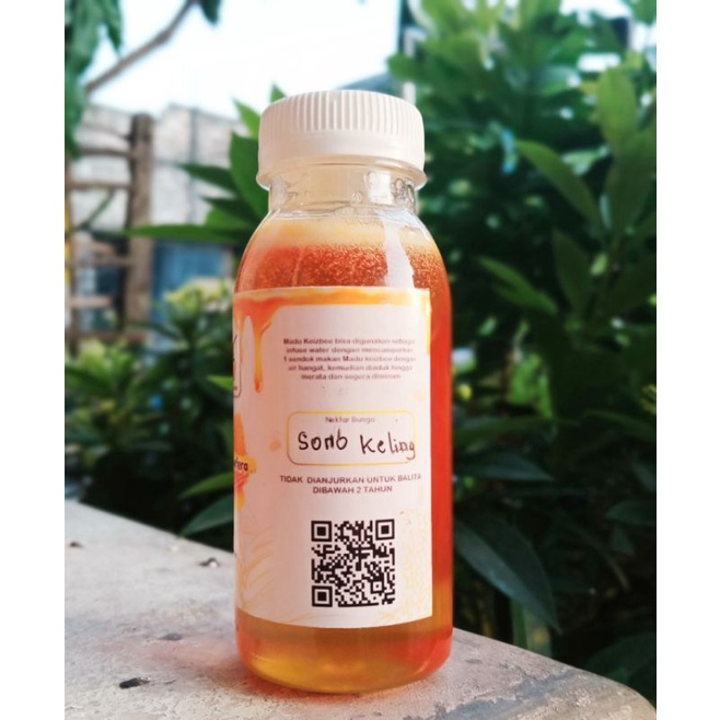 

madu mellifera ( nektar sonokeling )