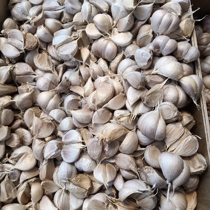 

Siap Kirim Bawang Putih Kating 1Kg Import Kualitas Super