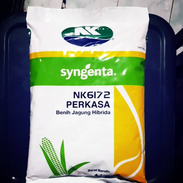 Benih Jagung Hibrida NK 6172