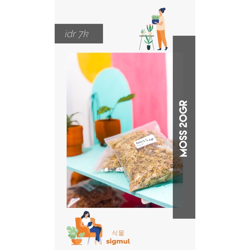 Media Tanam Moss / Media Tanam Lumut Kering