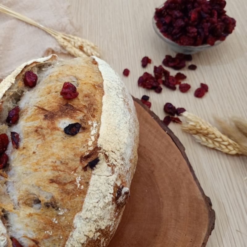 Sourdough Cranberry Walnut, roti gandum sehat-2