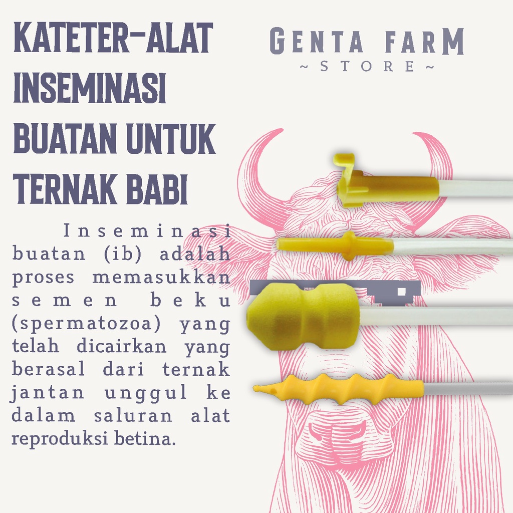 Catheter Pig Kateter Alat Inseminasi Buatan Untuk Babi