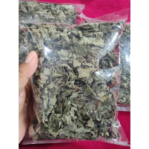 

Daun sembung kering alami perplastik