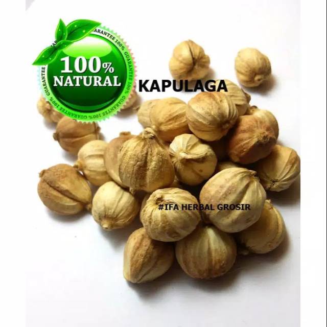 

Kapulaga Kering Rempah Rempah Organik