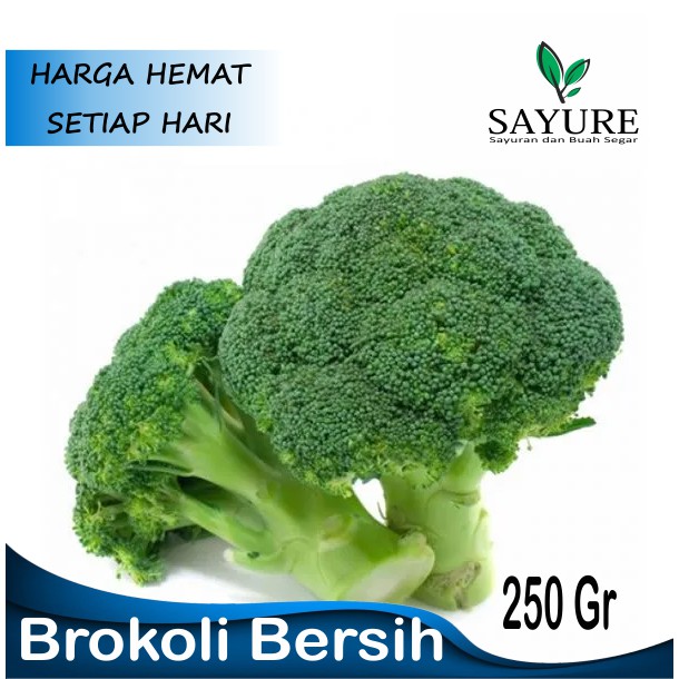 

BROKOLI SEGAR MURAH 250 GR