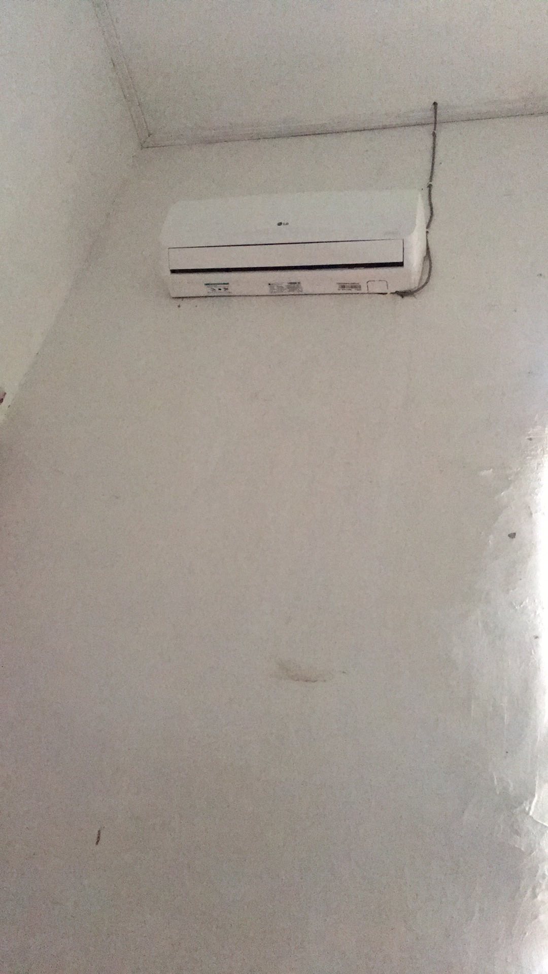 Sprei Lady Rose Uk. King (180x200)cm Dan Uk. Queen (160x200)cm Motif Character New