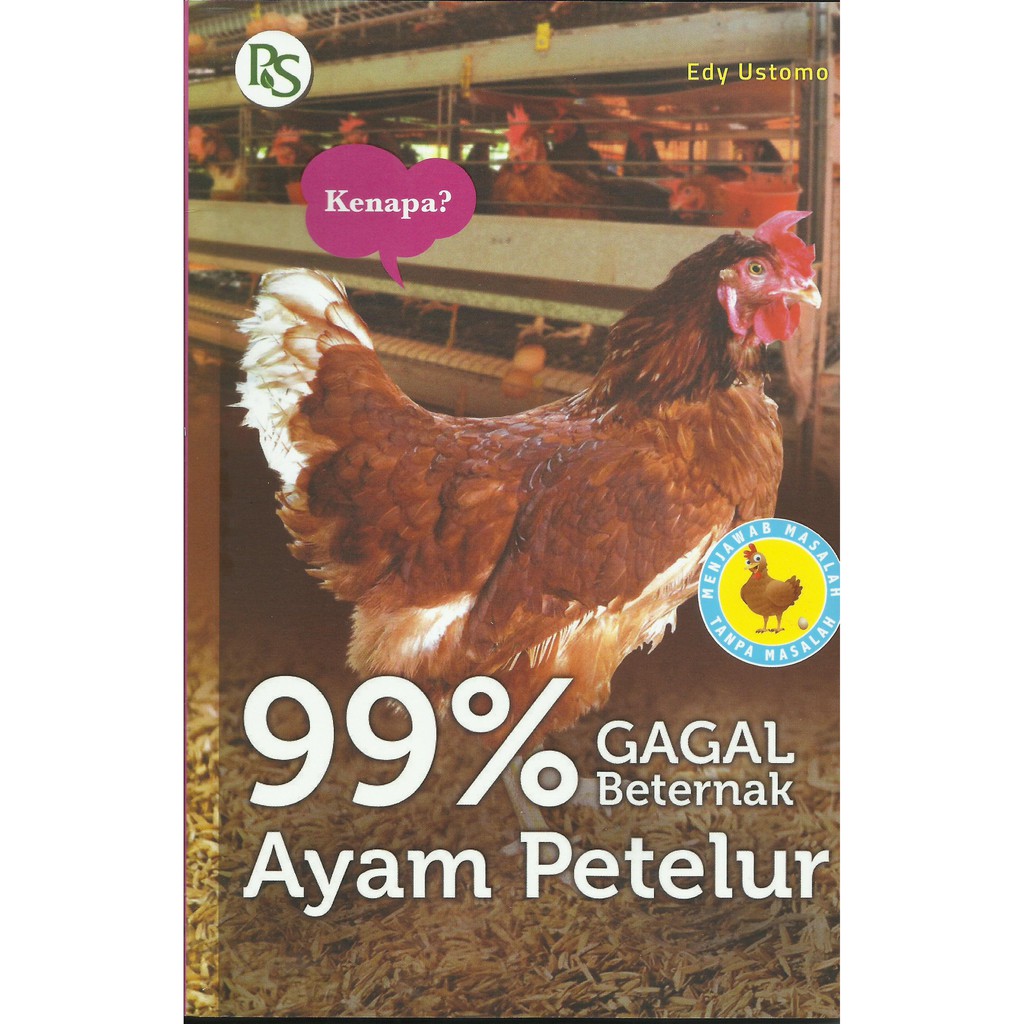 

99% GAGAL BETERNAK AYAM PETELUR