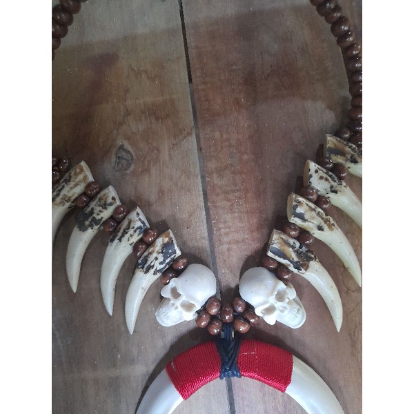 Kalung Etnik Taring Babi | Sepasang Taring Babi Top Quality