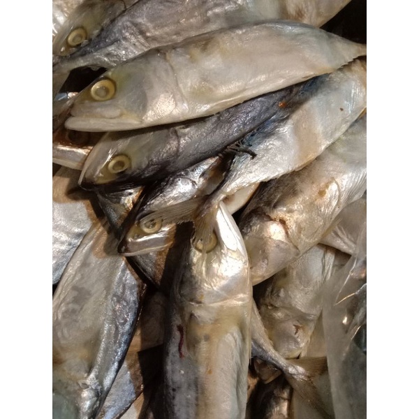 

peda kering /ikan asin peda