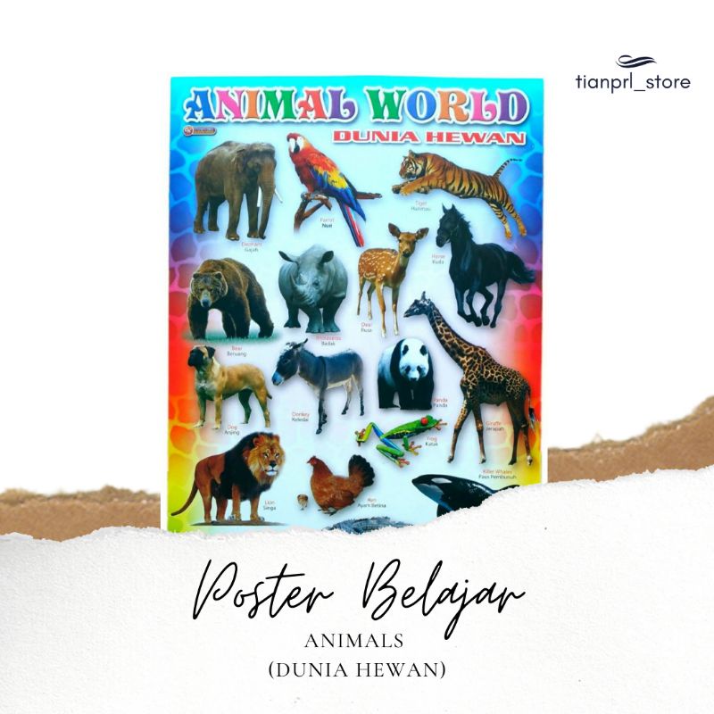 

POSTER BELAJAR MENGENAL ANIMAL WORLD