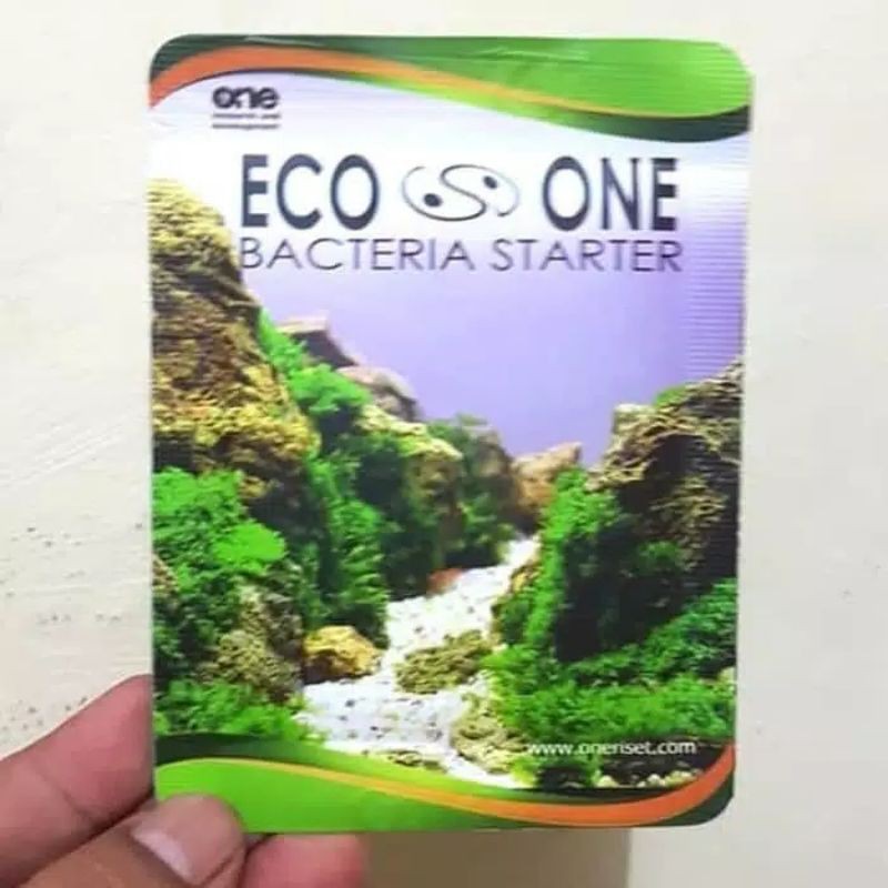 BAKTERI STARTER ECO ONE / BACTERIA STARTER