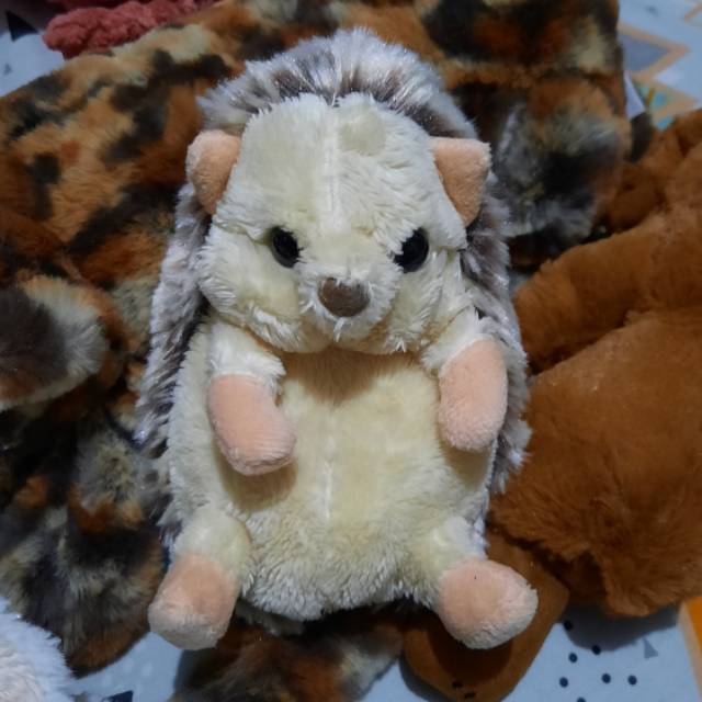 Sunlemon Hedgehog (BOOKED)