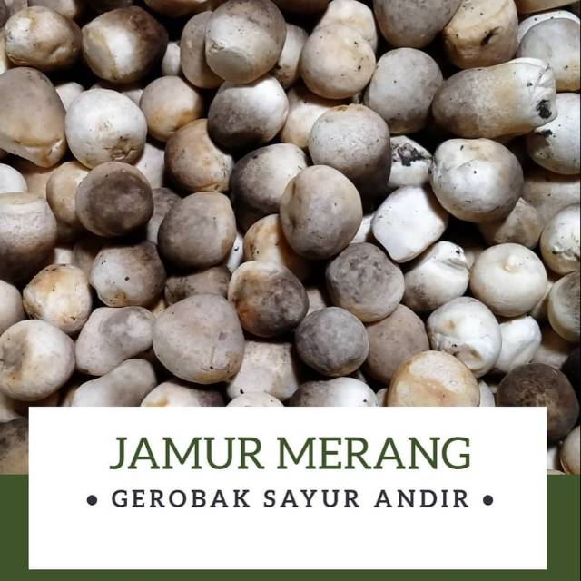

Jamur Merang /250gr