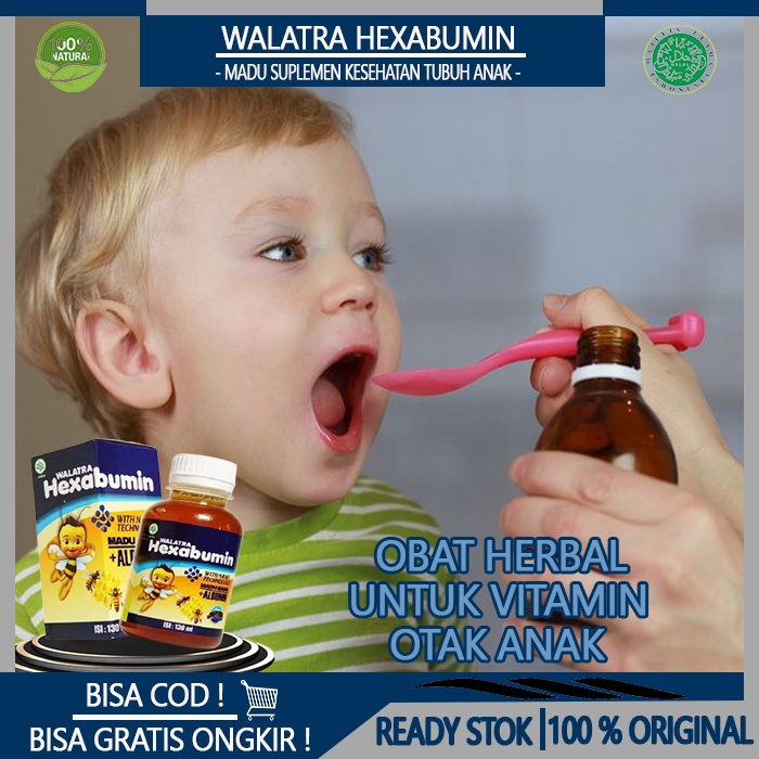 Obat Vitamin Otak Anak, Madu Vitamin Untuk Kecerdasan Otak Anak, Nutrisi Otak Untuk Anak,Vitamin Day