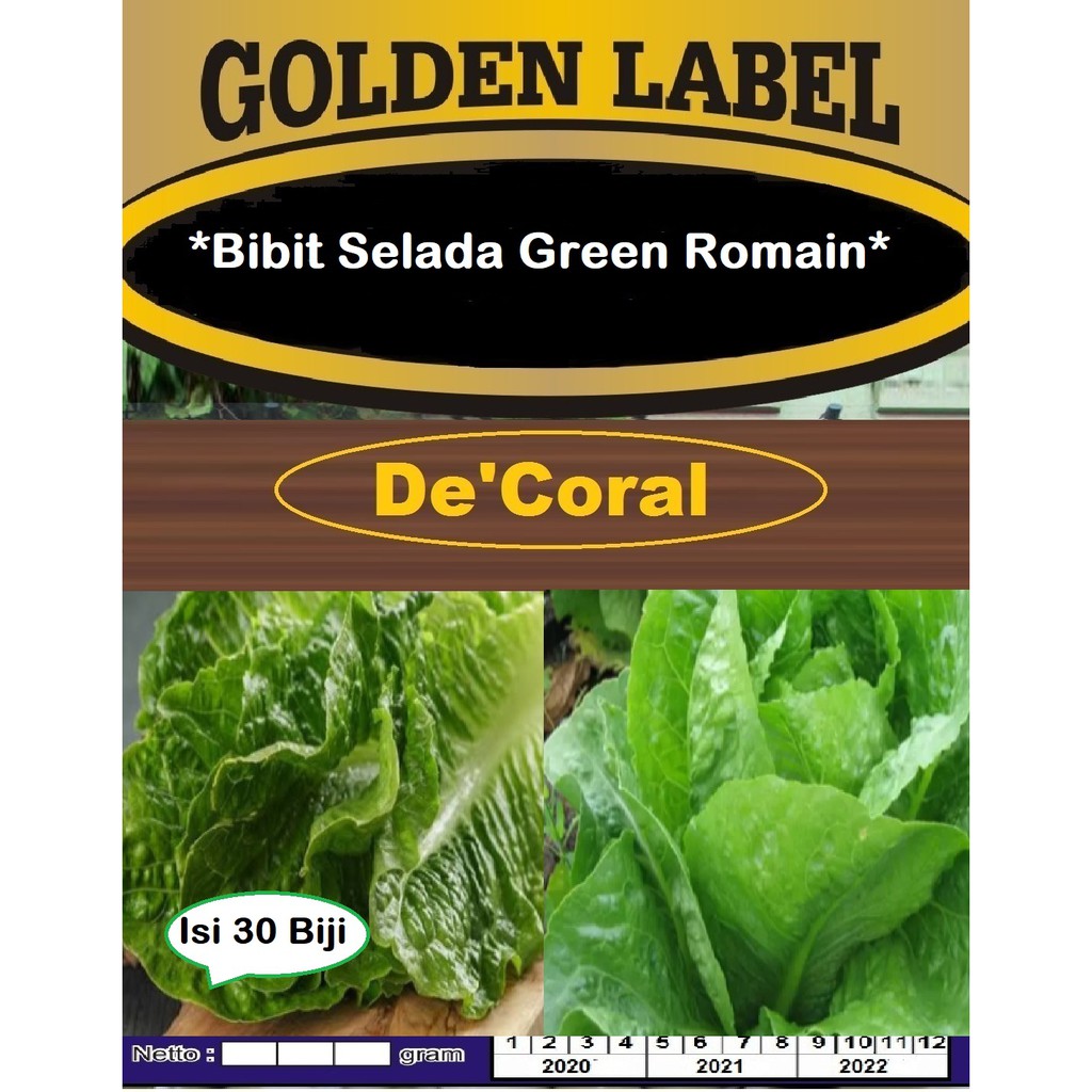 Bibit Selada Green Roman | Benih Selada Green Roman bibit