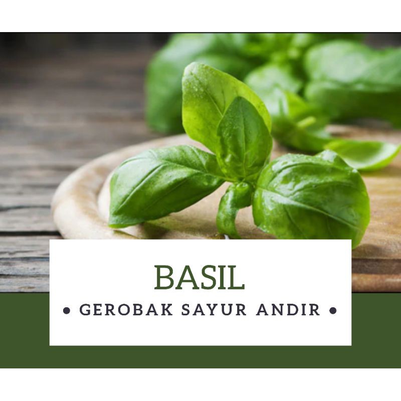 

Basil /100gr