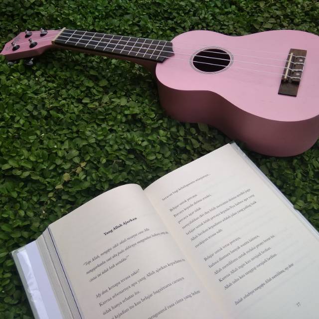 Ukulele coboy pink