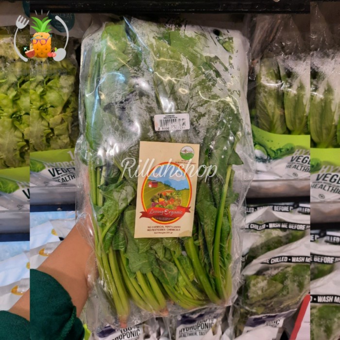 

Horinso Horenso Organik Pack