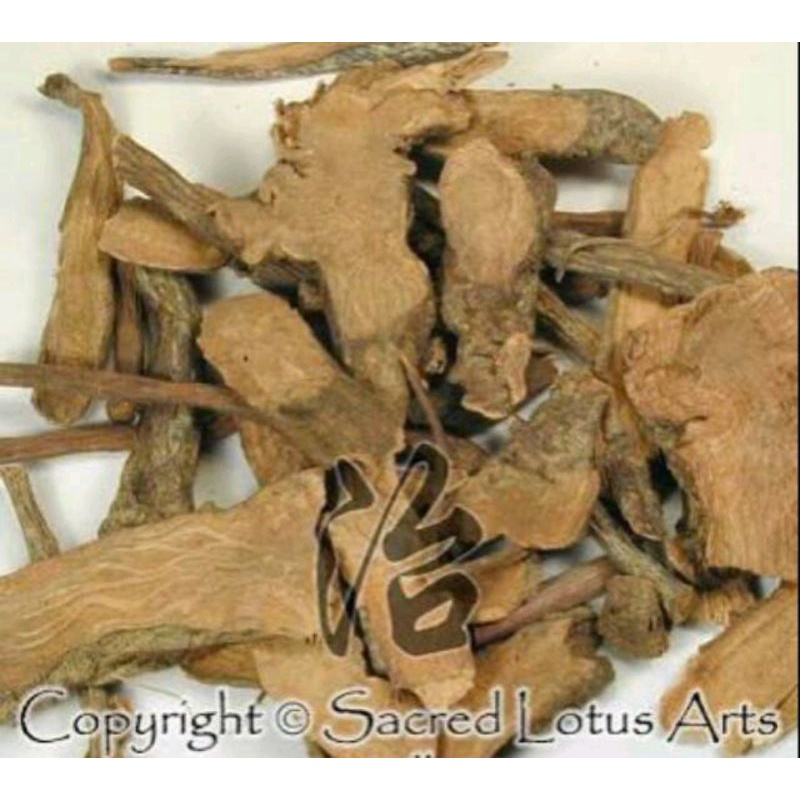 

300 G GR GRAM 地榆片 DI YU GARDEN BURNET ROOT