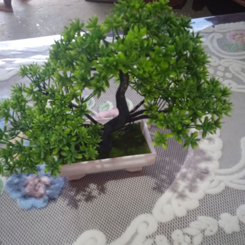 BONSAI SERUT PLASTIK HIASAN MEJA