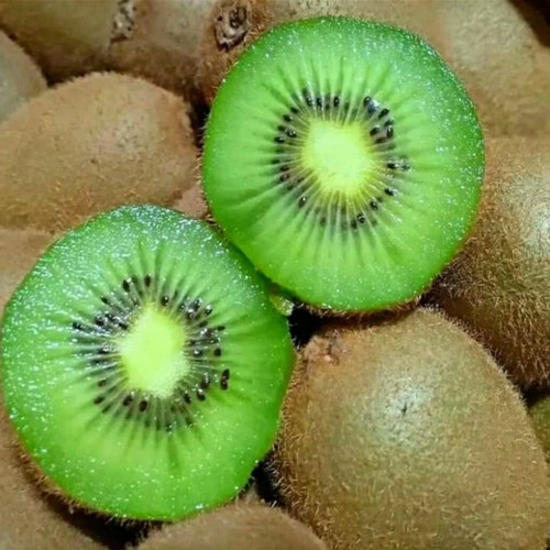 

Kiwi Green RRC