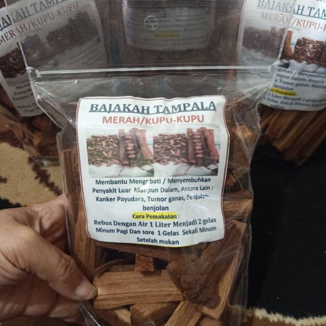 

BAJAKAH TAMPALA MERAH