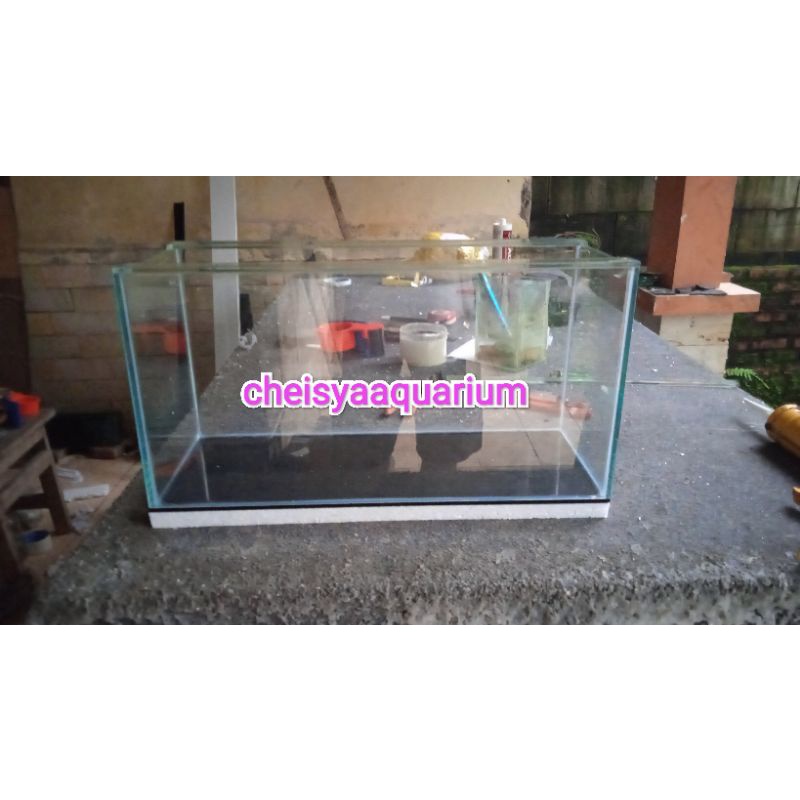 aquarium kaca aquascape ikan hias ikan chana 50x20x25