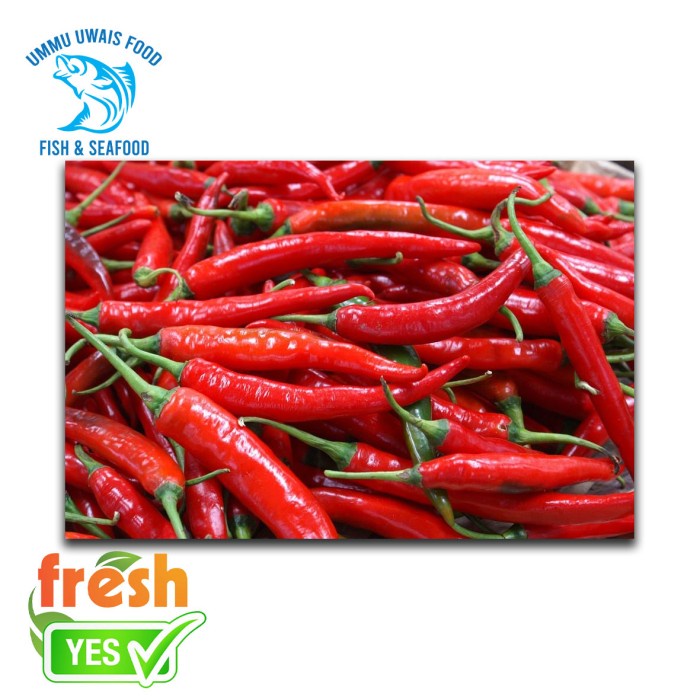 

Cabe Merah Besar Segar - 500 Gram