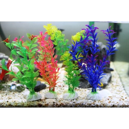 910+ Dekorasi Aquarium Tanaman Plastik HD