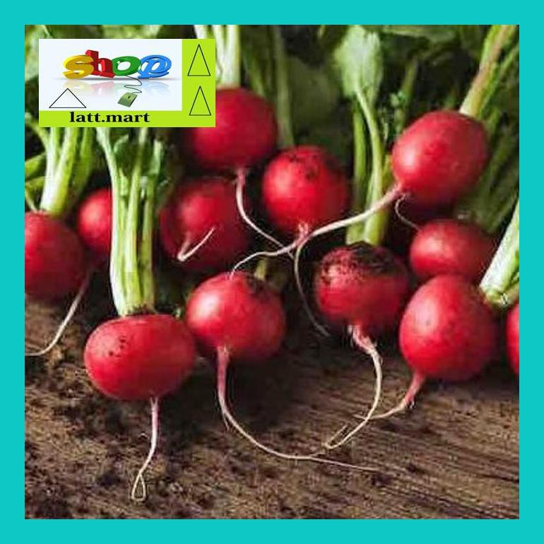 

Yu04Yts Benih-Bibit Lobak/Radish Cherry Belle (Haira Seed) Yul0F40Ul