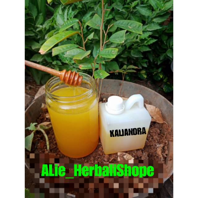 

MADU MURNI KALIANDRA 500gr | ORIGINAL MADU MENTAH