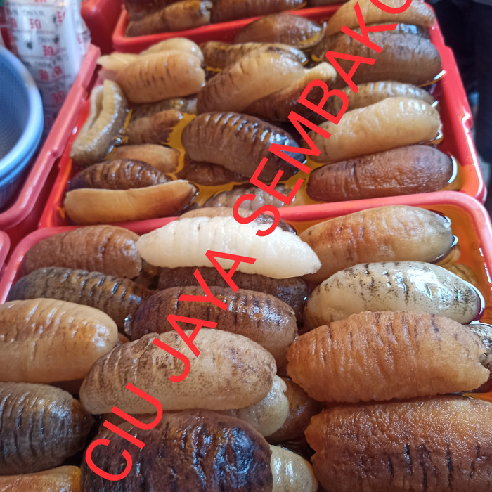 

Kkeanashop Teripang / Haisom / Hasiom / Haisom Belitung / Hoisyem