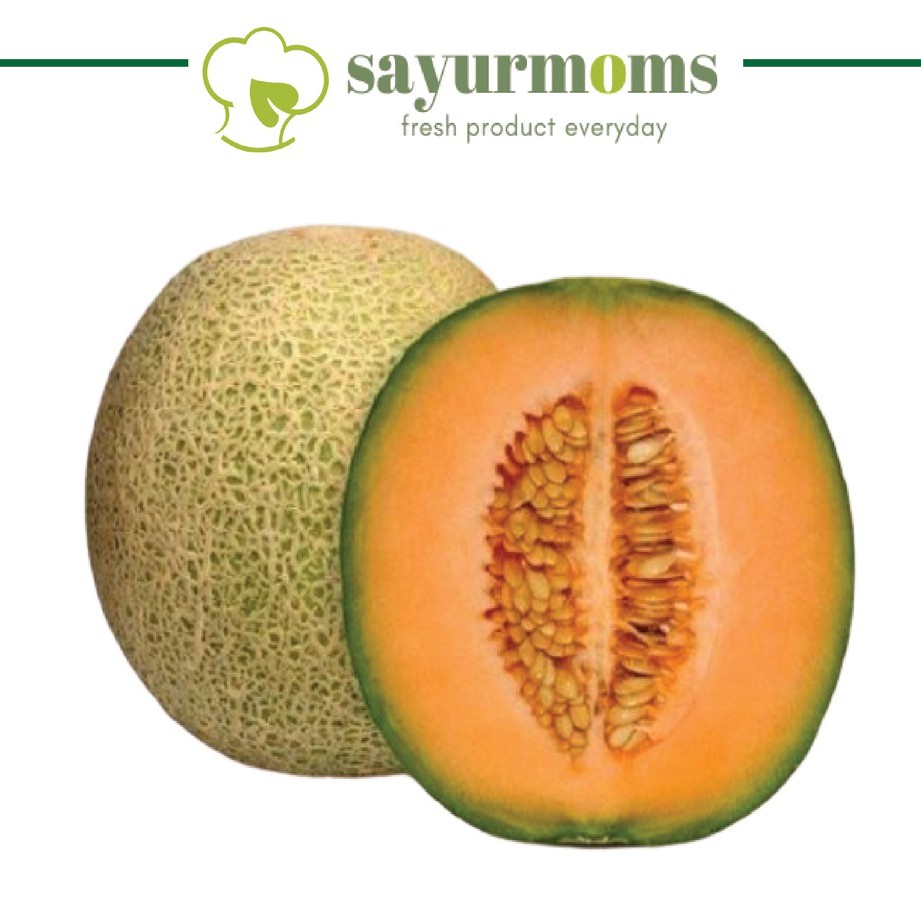 

BUAH MELON ROCK (± 2,5 kg)