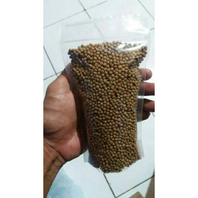 PELET SINTA APUNG