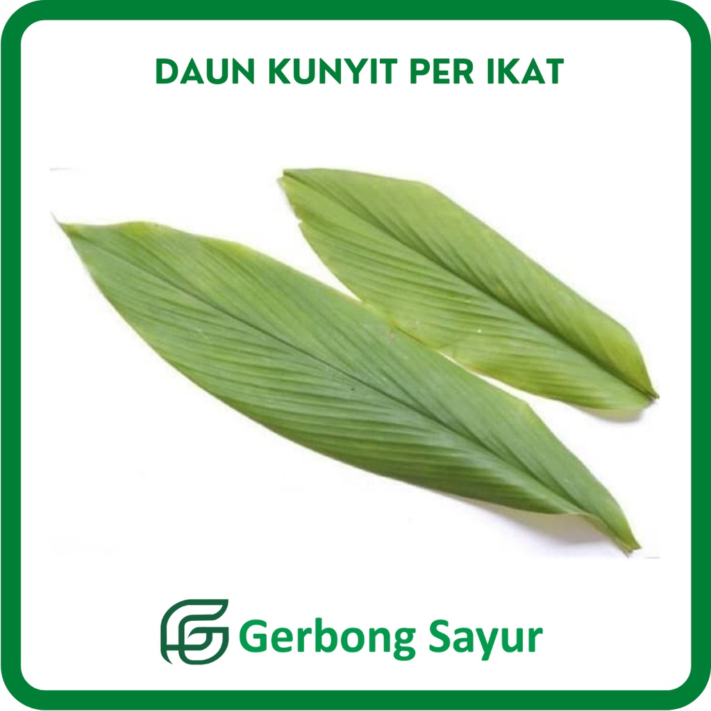 

Daun Kunyit Per Ikat Segar