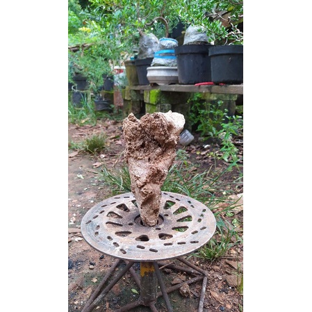 batu karang gunung realpict