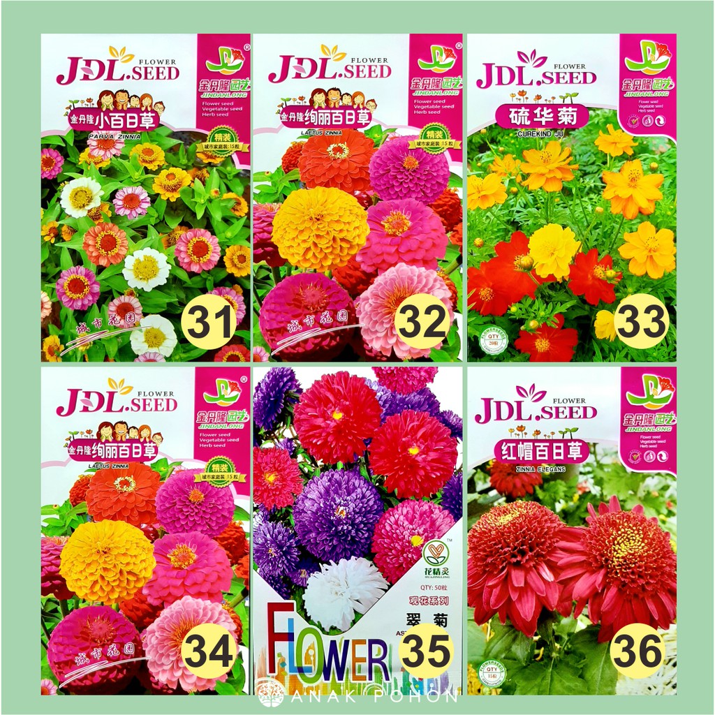 Benih Aneka Bunga Flower JDL Seed Retail Pack - Tipe B