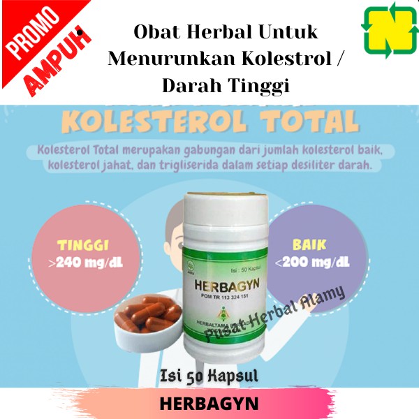 Herbagyn Nasa Obat Kolestrol Nyeri Sendi, Asam Urat Produk Herbal isi 50 Kapsul