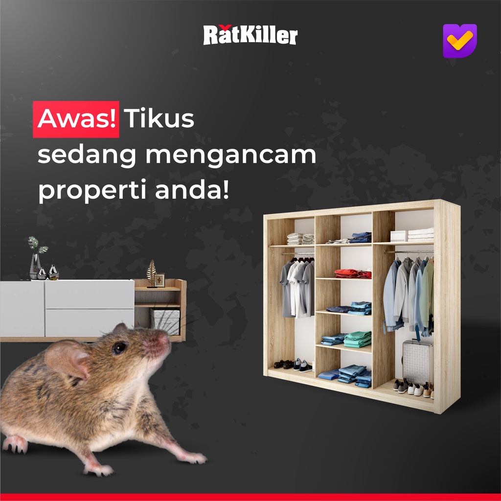 RatKiller Racun Tikus Mati Kering Tanpa Bau 250 Gram Ampuh Original Bergaransi