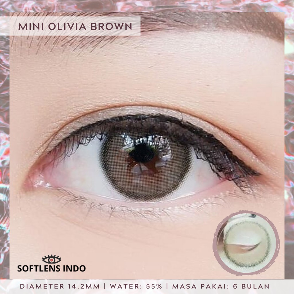 

Softlens kitty kawaii mini olivia brown/ coklat